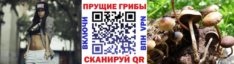 Псилоцибиновые грибы MAGIC MUSHROOMS Кушва